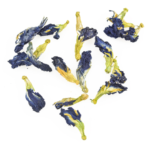 klitoria 3.png