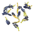 klitoria 3.png