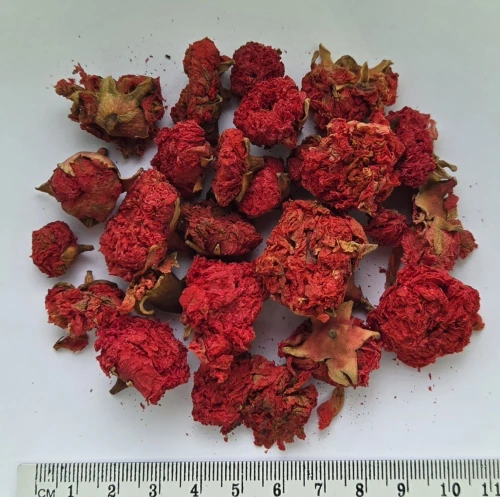 granat kwiat I gat.jpeg