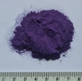 Blu Butterflay pea flower EXTRACT.jpg