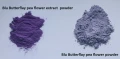 blu pea flower extract and powder.jpg