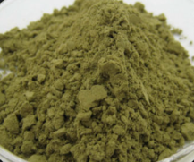 Szpinak extrakt 100 g/ Spinach extract 100 g