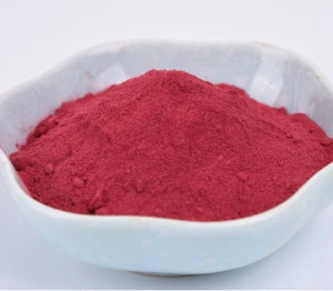 Burak czerwony extrakt 100 g/ Beetroot extract 100 g