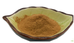 Dzika róża owoc extrakt 100 g/ Rose Hips extract 100 g