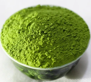 Herbata zielona extrakt (zielony) 100 g/ Green tea extract (green) 100 g