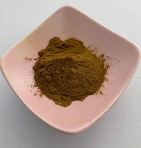 Miłorząb japoński herbatka ziołowa extrakt 100 g/ Ginkgo Biloba herb tea extract 100 g