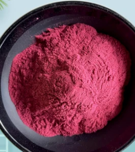Winogrono czerwone extrakt 100 g/ Red Grape extract 100 g