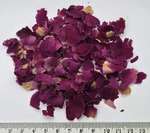 Piwonia Płatek - Peony Petal 1 kg