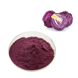 Czerwona Kapusta Ekstrakt 1  kg / Red Cabbage Extract 1 kg 